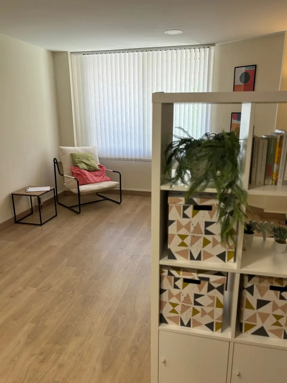 Butaca junto a una estantería en la consulta